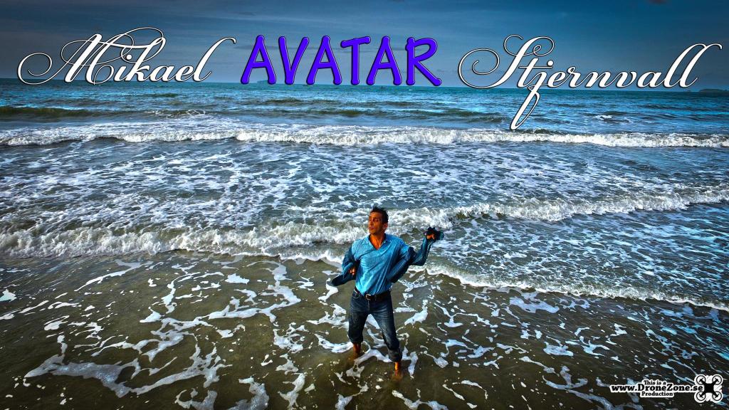 Artist Mikael Avatar