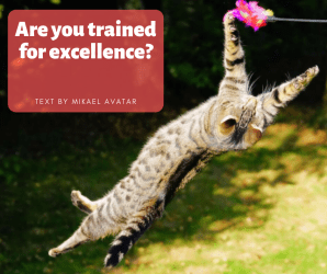 Are you trained for excellence_